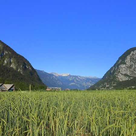 Appartamento V Objemu Gora Bohinj Esterno foto