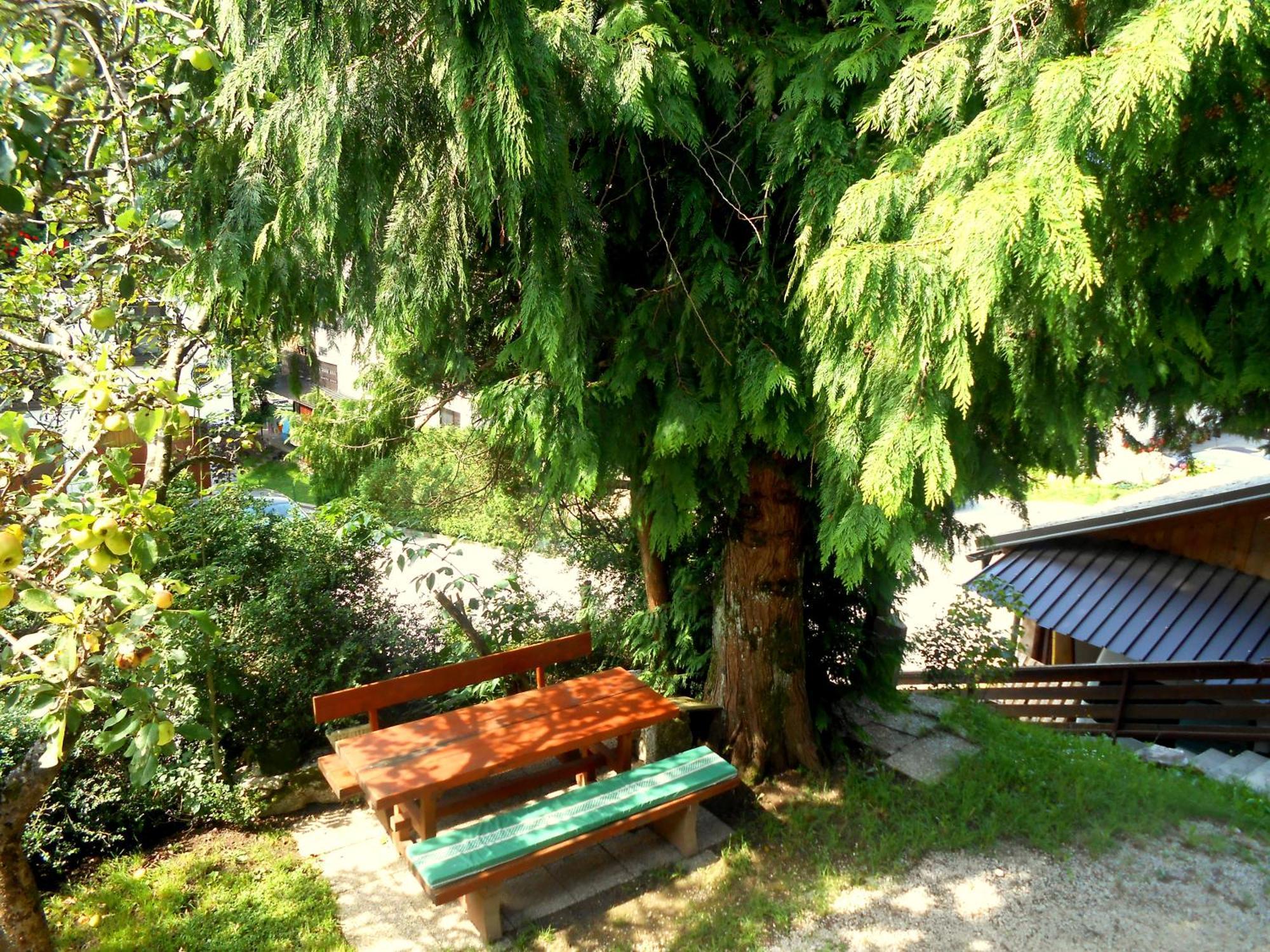 Appartamento V Objemu Gora Bohinj Esterno foto