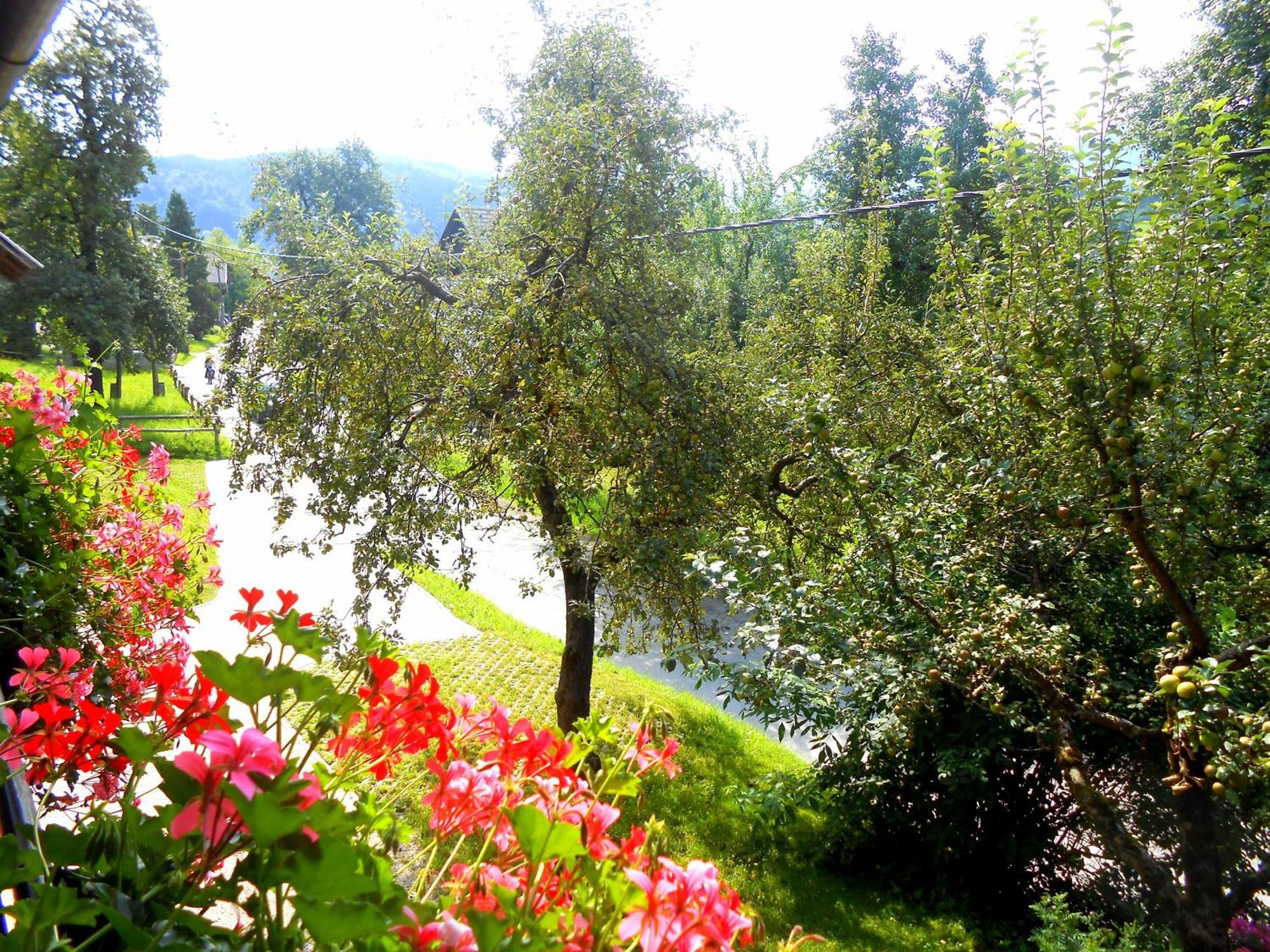 Appartamento V Objemu Gora Bohinj Esterno foto